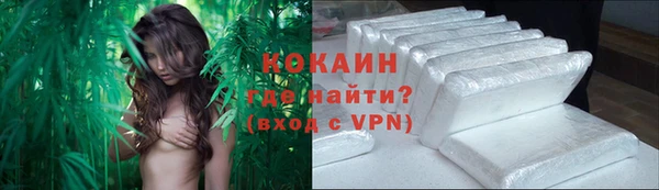 крисы Нея
