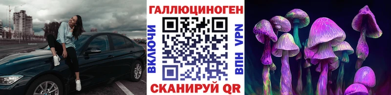 Псилоцибиновые грибы Magic Shrooms  Отрадная 